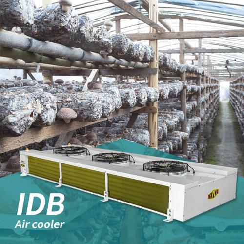 IDB系列工業(yè)型雙面?zhèn)却碉L冷風機